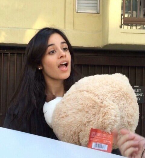 Camila Cabello Brasil tweet media