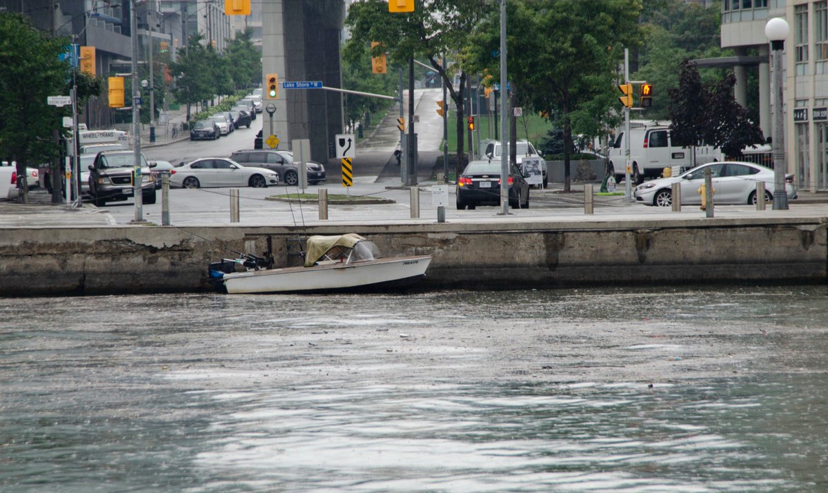 LOWaterkeeper's tweet photo. Last night’s heavy rainfall caused a significant sewage spill in Toronto’s Inner Harbour. Please help document this sewage spill by sharing your photos of Toronto’s Inner Harbour on Twitter and tagging @LOWaterkeeper.
#swimdrinkfish

Read the full story: https://t.co/qZYCsDibCa https://t.co/mSH6RurqK9