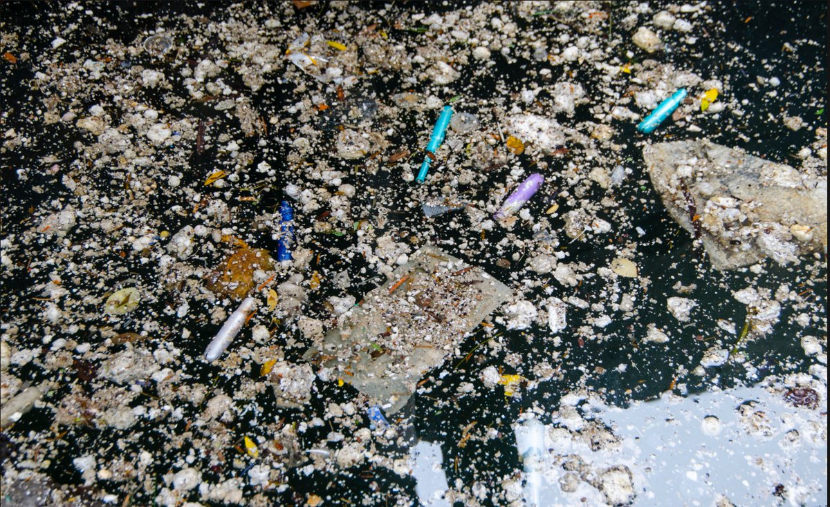 LOWaterkeeper's tweet photo. Last night’s heavy rainfall caused a significant sewage spill in Toronto’s Inner Harbour. Please help document this sewage spill by sharing your photos of Toronto’s Inner Harbour on Twitter and tagging @LOWaterkeeper.
#swimdrinkfish

Read the full story: https://t.co/qZYCsDibCa https://t.co/mSH6RurqK9