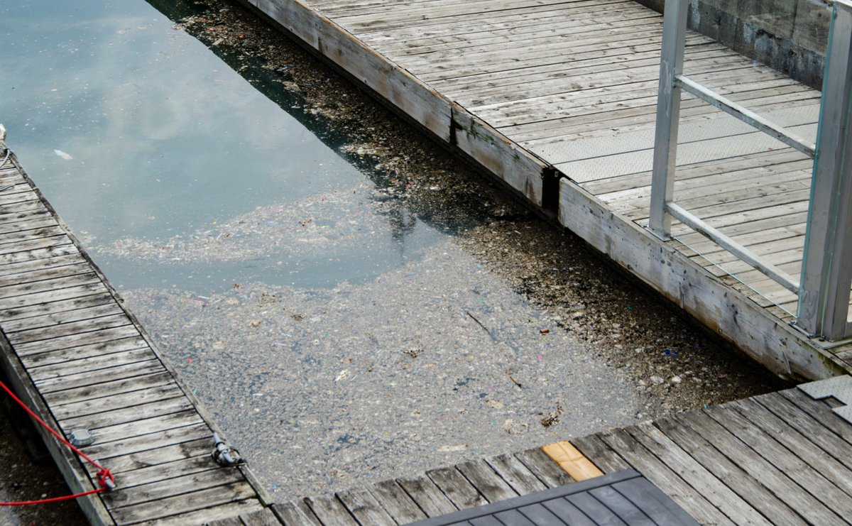 LOWaterkeeper's tweet photo. Last night’s heavy rainfall caused a significant sewage spill in Toronto’s Inner Harbour. Please help document this sewage spill by sharing your photos of Toronto’s Inner Harbour on Twitter and tagging @LOWaterkeeper.
#swimdrinkfish

Read the full story: https://t.co/qZYCsDibCa https://t.co/mSH6RurqK9