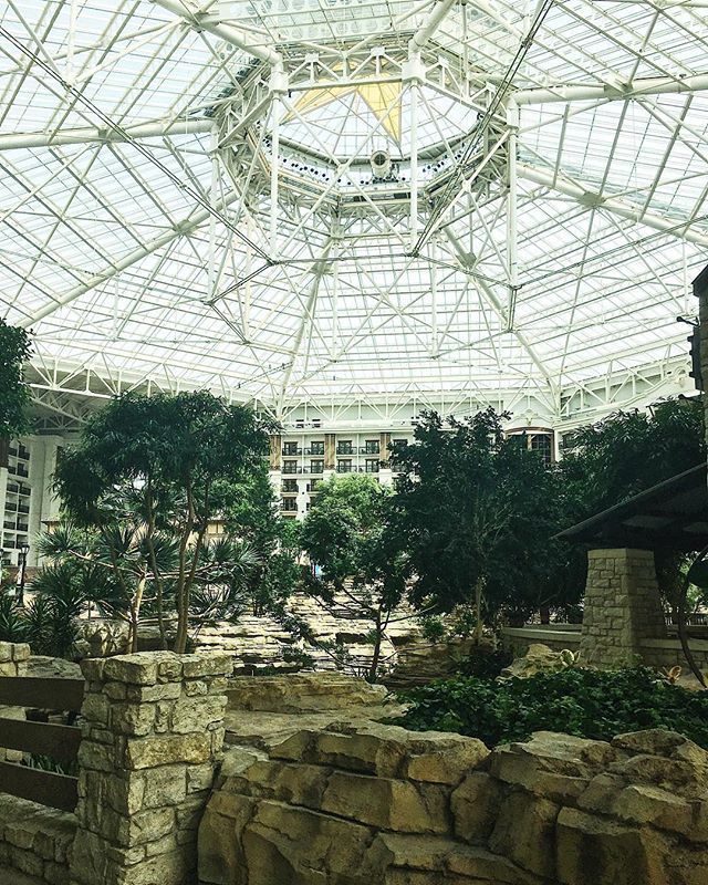 rxysurfchic's tweet photo. Finally made it to @Quakecon, this hotel is INSANE. I also got a peek at the BYOC, Iβm so excited! ππΌ#AWQuakecon https://t.co/C8gmnKWps6 https://t.co/luKGnPd07z