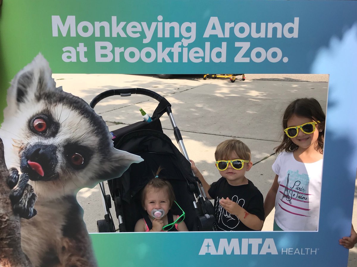 sdevito81's tweet photo. What a great morning! ⁦@brookfield_zoo⁩ ⁦@AMITAhealth⁩ https://t.co/mY5TyRXMRl