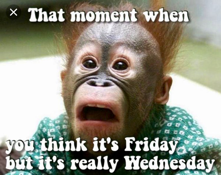 So true at the end of hump day 🤣 Hey, has everyone received the email invite or seen the FB event for our next event on Sept 11th?! A #walkingtour of a few new <a href="/HowardHughesCo/">Howard Hughes</a> buildings in #downtowncolumbiamd followed by happy hour at <a href="/cured1821/">Cured 18th & 21st</a> Registration ends Sept 4th!