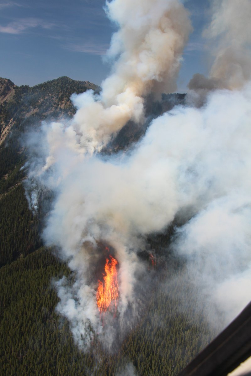 The Wardle wildfire complex has grown to 1,450 hectares in the Kootenay National Park and crews continue to work to contain the fire. Highway 93 South is expected to remain partially closed until at least noon tomorrow (Aug.9).  #wildfires #ParksCanada
thecragandcanyon.ca/news/local-new…