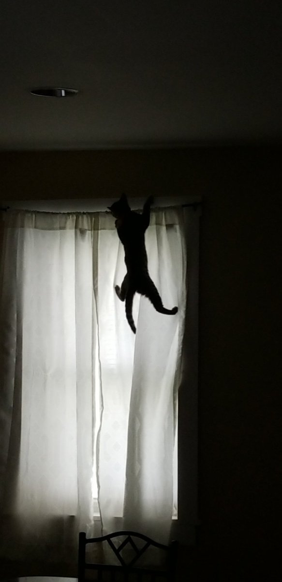 HanHan369's tweet image. Why is she so bad?