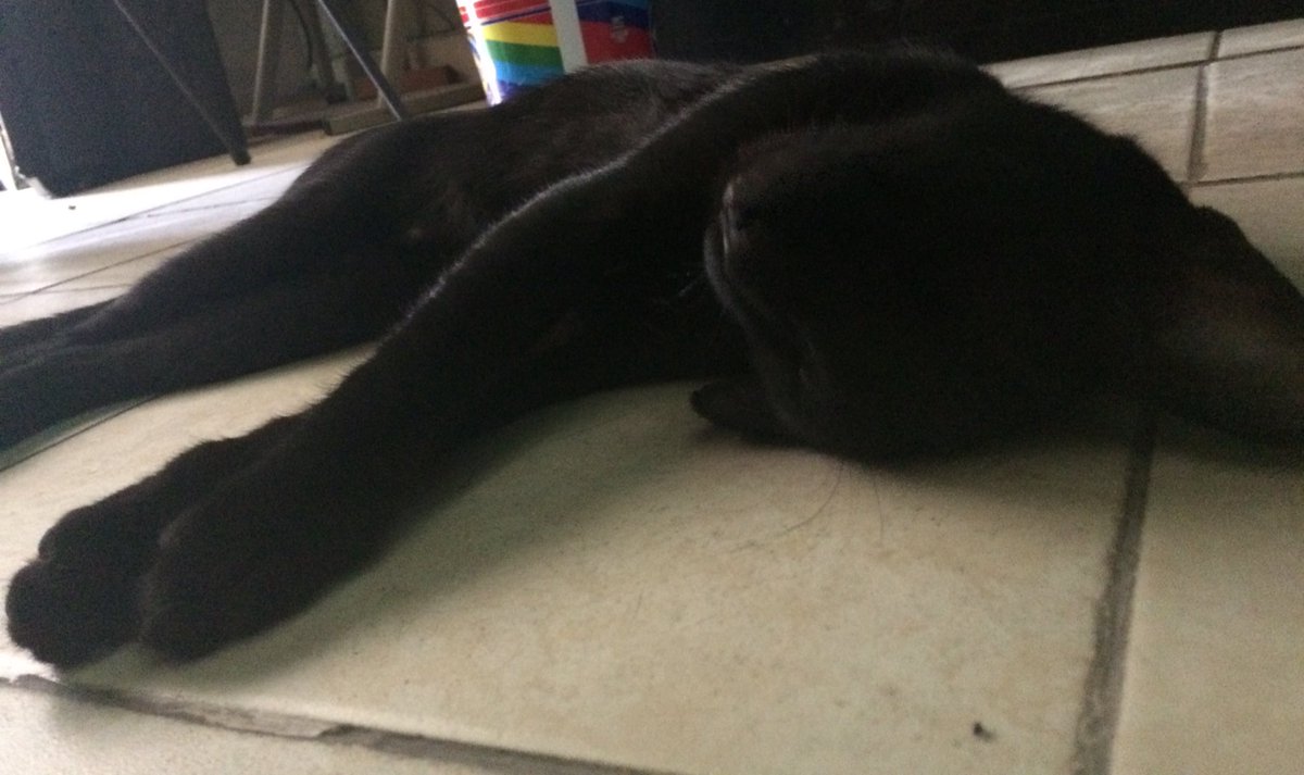 yaz_Elfish's tweet image. #TípicoQue 
@tvtelehit jaja