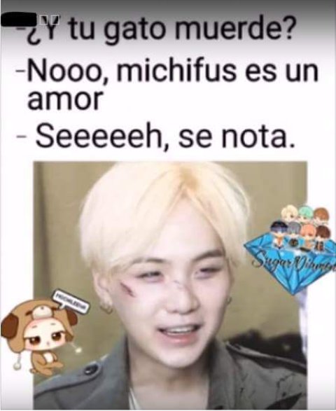 RachelCaldern1's tweet photo. #TipicoQue 😸😸😸😸😹😹😹para mi los rasguños de mi gato son algo cotidiano #DiaInternacionalDelGato @tvtelehit @Luciana_Burkle @SoyAlexCzech @raulgmeneses https://t.co/FIKSX5FFTP