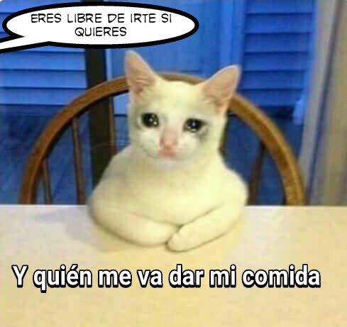 Eres Libre Meme