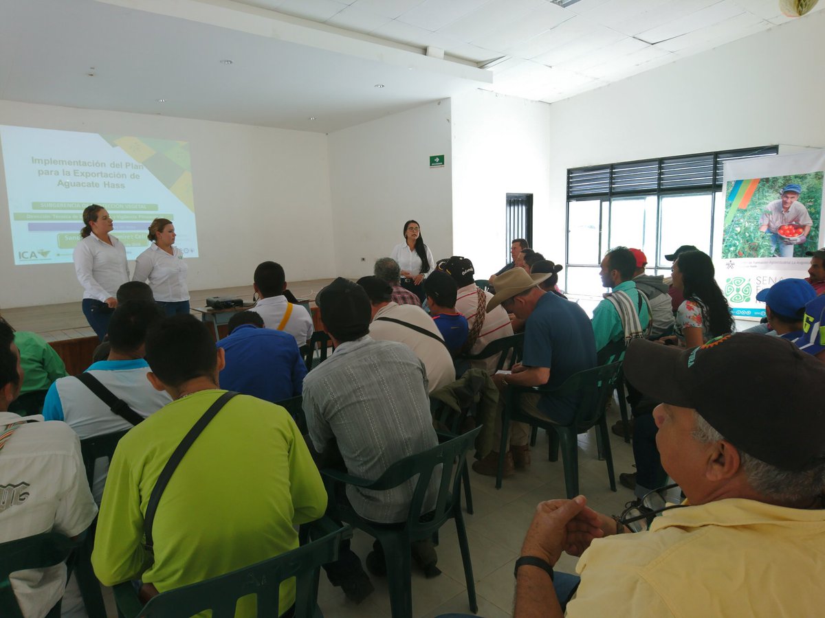 lopezferney's tweet photo. Hoy en Santa María Huila se llevó a cabo la socializacióndel del del plan exportador de aguacate a Estados Unidos, con el apoyo de #SBDCSENA #SENAEmprendeRural Huila, @ICACOLOMBIA. #Pertinencia 
@CEFAcomunica @candidoherrera @luistamayo61 @ostrujillo79 @SENAComunica @serangostura https://t.co/cwY1TQTHN6