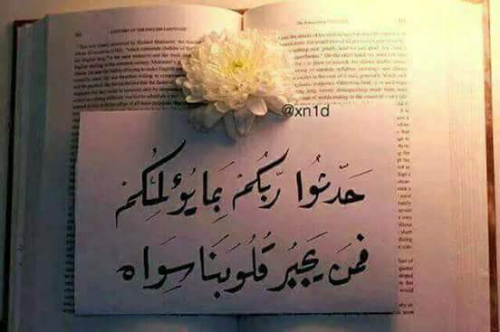 Saba (@sabazbad) on Twitter photo 
