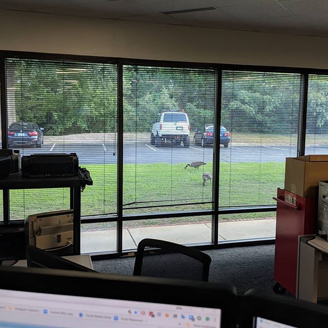 N3tJ3st3r's tweet photo. I wonder if my van thinks about me too when we are stuck in the office all day. #astrovan #liftedvan #4x4van #Vanakin #chevyastro #builtnotbought https://t.co/fkSgs9B4CI https://t.co/DhiH3uPLIq