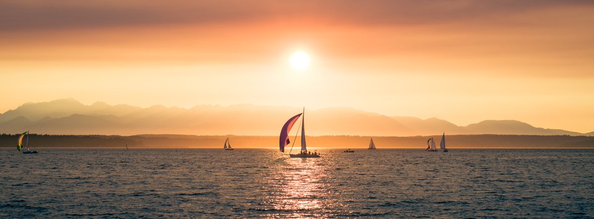 dan cole tweet media