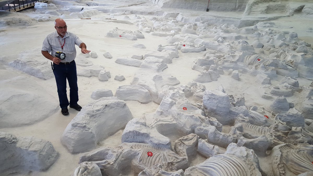 RichJBischoff's tweet photo. Rick Otto, Superintendent of #ashfallFossilBeds, tells  #IANRontheRoad about the fossils of ancient rhinos, horses, and deer. Discovery continues! @UNL_IANR https://t.co/lbehPbImmz