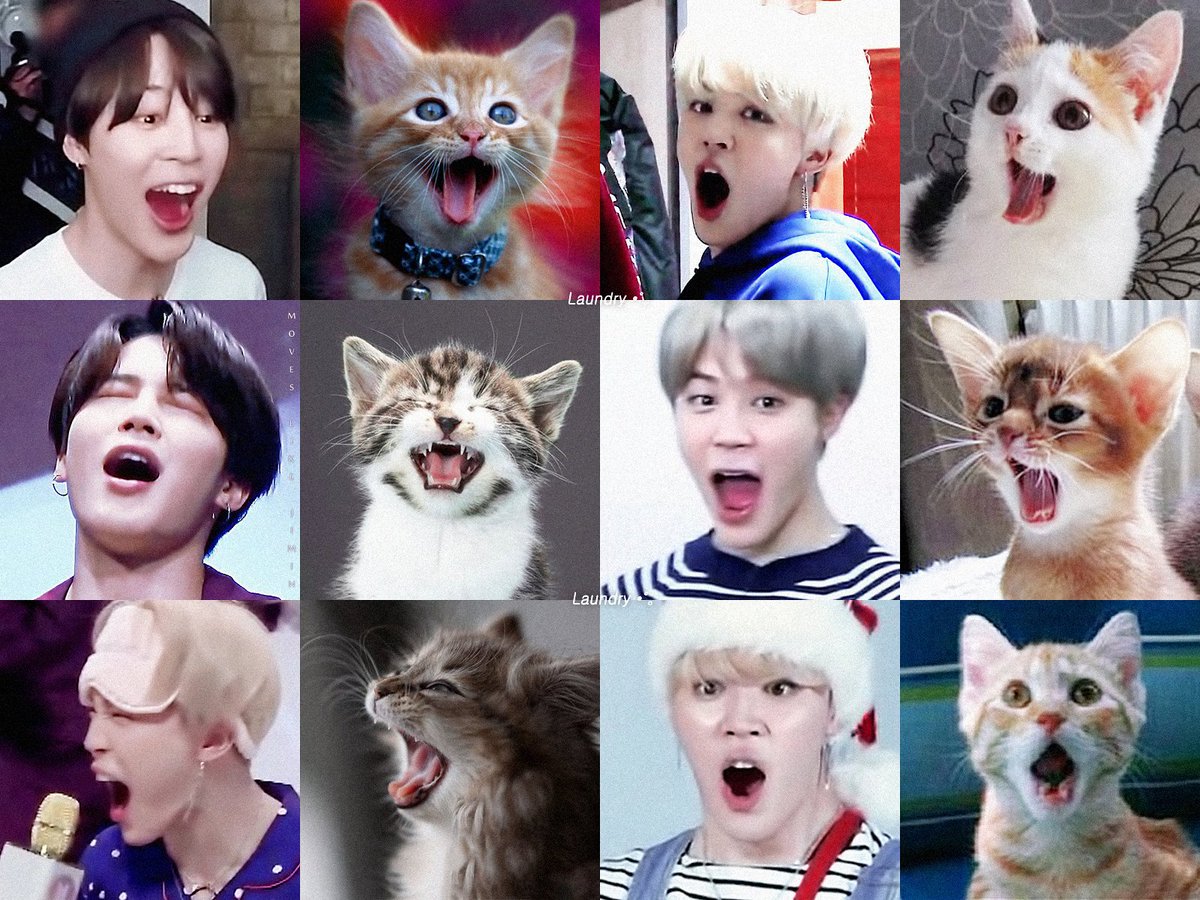 Jimin_Chile's tweet photo. [IMG | 180808] ✨ Confirmado #JIMIN es un lindo gatito 😳💛

#InternationalCatDay

© JiminGinger | Jimin Chile 💕
@BTS_twt #MMVAs #iHeartRAdioMMVAs #FFGroupBTS https://t.co/plCBcbZCq3