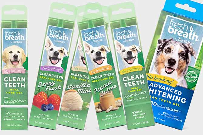 SDogelMagazine's tweet photo. August is Dental Month. And Tropiclean Clean Teeth Gel makes cleaning dogs' teeth easier. https://t.co/mflLddCpnw https://t.co/ia4R1GzR6x