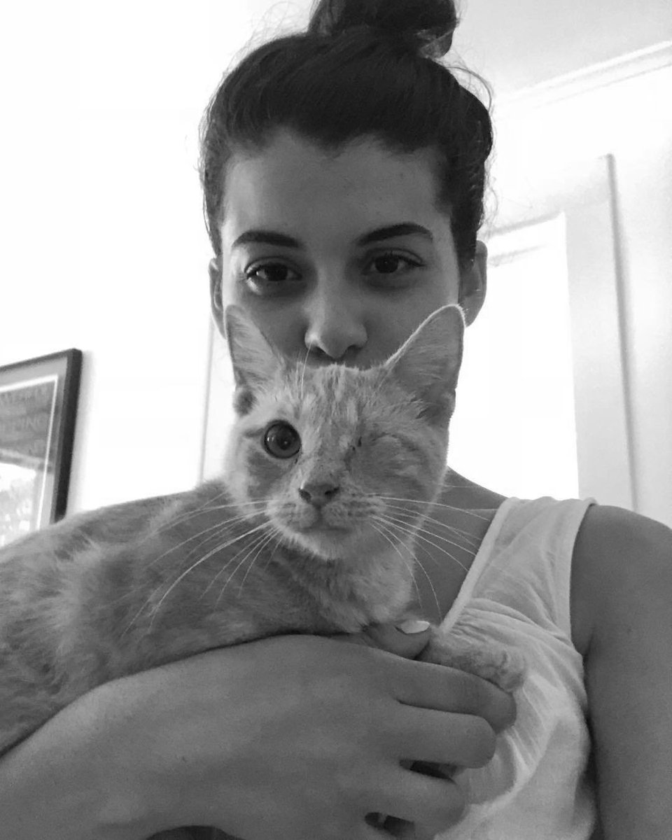 bestofsofia's tweet photo. #InternationalCatsDay https://t.co/n5KcHF0WN7