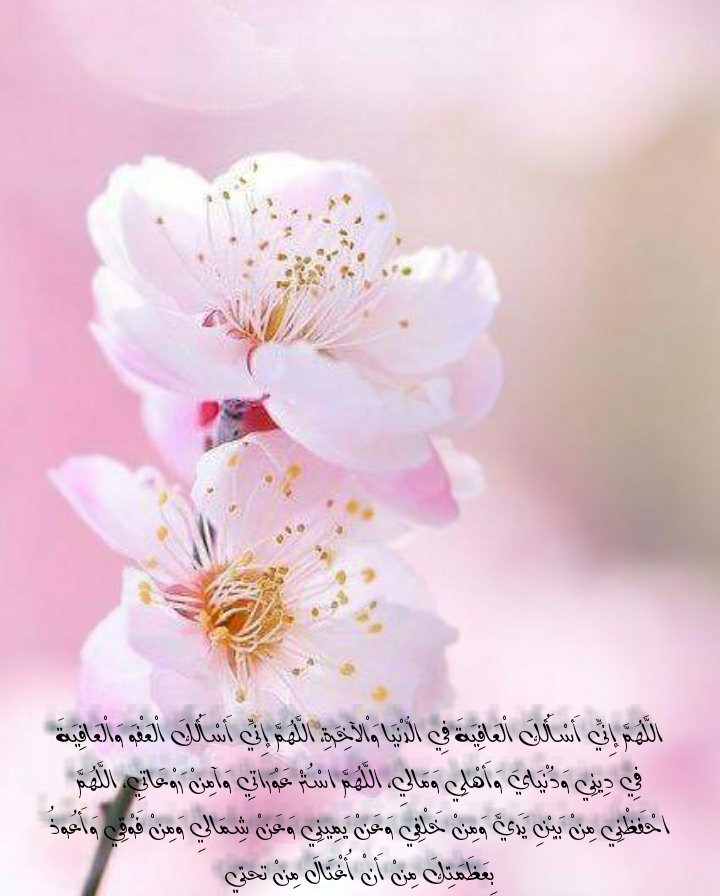 Q_S_2's tweet photo. #اذكار https://t.co/0bPoECl2nH