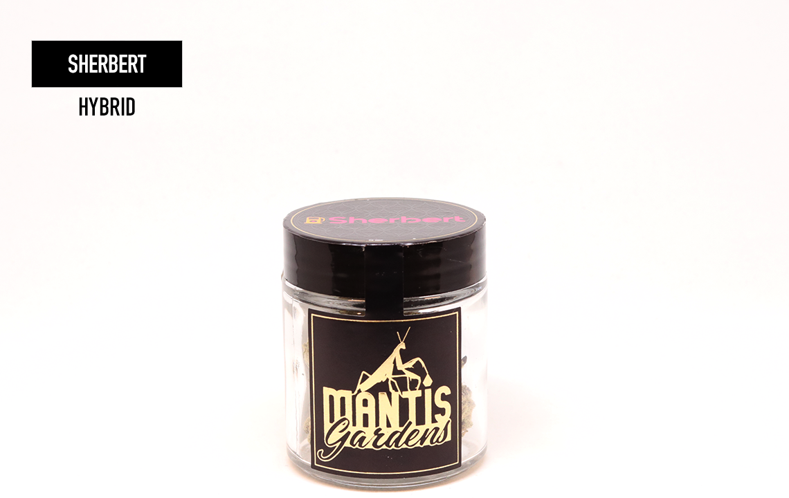 CanfinderApp's tweet photo. Make sure to tune into the Canfinder App on IG tomorrow @canfinderapp for a Terpology lesson from the legends at @MantisExtracts 

https://t.co/DIKf9Rduui

Download the Canfinder App today and be ready for our #Seattle #Hempfest  extravaganza

#terps #Legends #dabbersdaily #dank https://t.co/OXme13vrrt