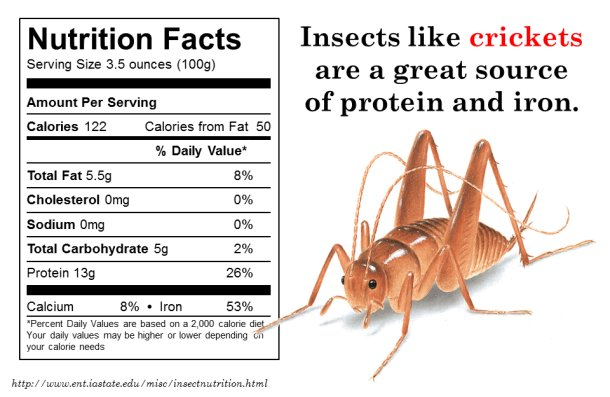 Livinfarms's tweet photo. Gain protein and iron by eating insects! https://t.co/Ir8HoIDZVB ๐๐๐๐Start farming and get you Hive here: https://t.co/Z3xoPaq9V6
are YOU #farming yet? #entomophagy #edibleinsects #entovegan #bugappetit #futurefood https://t.co/Rne1WyRLlg