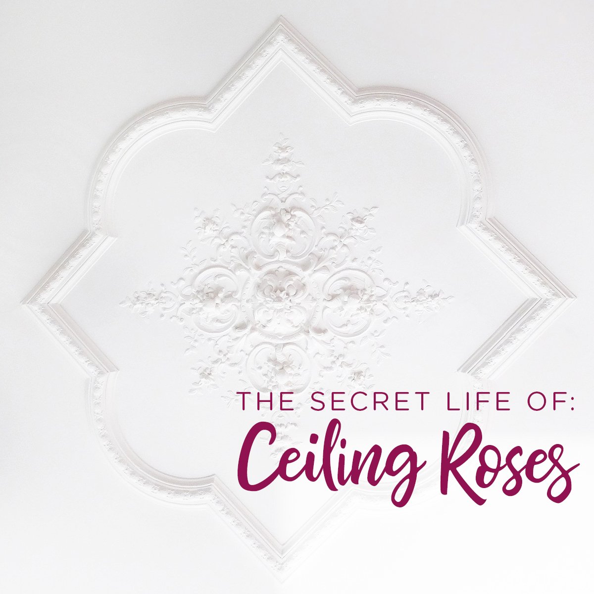InteriorBCID's tweet photo. The rose symbolised secrecy in Roman times, and hanging a rose over a meeting table became a sign of confidentiality in the Middle Ages. This led to rose designs being carved into ceilings, and the phrase slowly came to mean any centred ceiling moulding. https://t.co/ZPSVLe6WMn