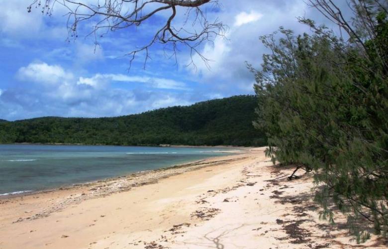 BusinessPageAU's tweet photo. Looking for a sea change? Dingo Beach general store and café for sale. See more: https://t.co/lq1PWES2Tj
#FeatureProperty #PropertyOfTheDay #DingoBeach #Cafe #Whitsundays #WhitsundayRealty https://t.co/Mnz9G2ZNCC