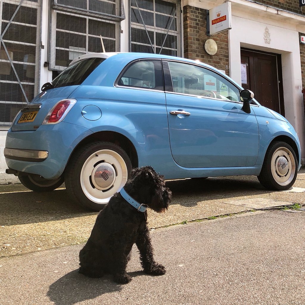 DCC_LTD's tweet photo. Colour Coordinated 😎
https://t.co/currpqUKCY
#DCC  #DifferentClassCars  #DCCDifferentClassCars  #SouthWoodford  #Schnauzer  #SchnauzersOfInstagram  #SchnauzerWorld  #Fiat  #Fiat500  #Fiat500Vintage  #VintageFiat500  #MinatureSchnauzer https://t.co/ni8wFFvwDu