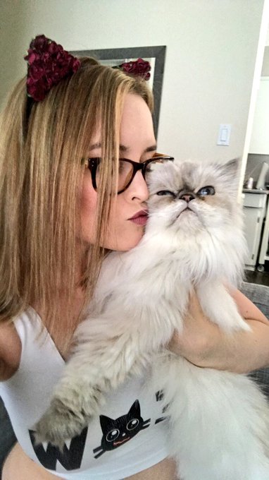Happy #InternationalCatDay2018. Lola is the best though. #InternationalCatDay https://t.co/dLhaXMMyX<a href="/tag/internationalcatday2018"class="tags">#InternationalCatDay2018</a><a href="/tag/internationalcatday"class="tags"><span>#internationalcatday</span></a>