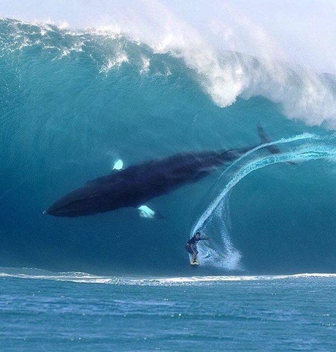 yoinso2's tweet image. .

죽은 바다 이야기

이스라엘과 요르단에 걸처있는 "사해 死海"는 죽은 바다이다

염도가 보통 바다의 열 배나
돼 물고기가 살지 못한다

그런데 사해의 물이 왜 짠물이 되었을까?

수원지가 같은 갈릴레아 호수는 물고기와 물풀이 싱싱하게 자라는

.
m.facebook.com/story.php?stor…

꼭! 보시옵소서 
.