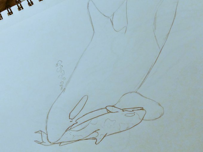 DkIGtqAUwAA4BcW.jpg:small