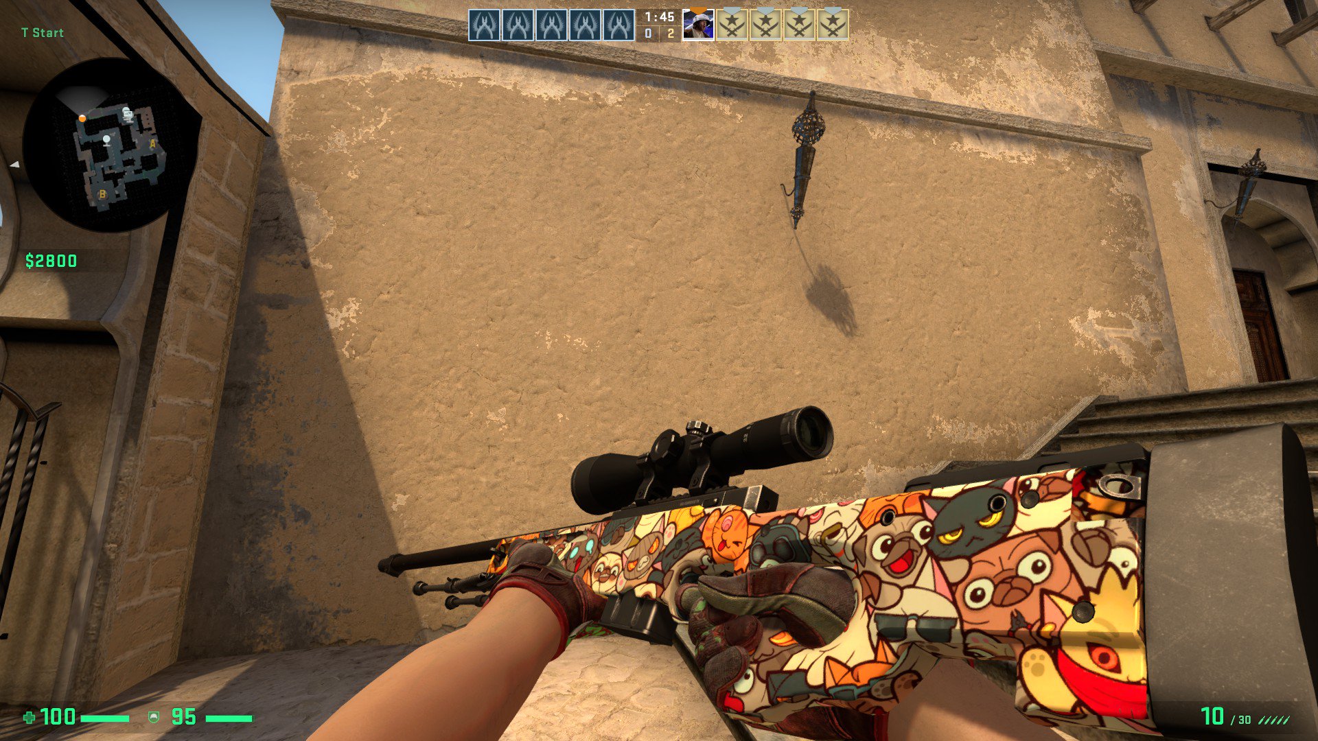 Awp paw bs фото 6