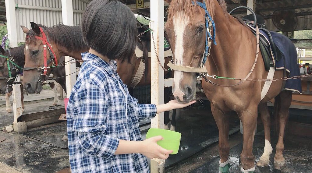 xiukyoongbb's tweet photo. at the daisen horse riding center!! my first time ever riding a horse and it was more fun than i thought but also a little scary lol feeding them was my favourite tho hehe 🐴 they kept doing the leg kicking thing like they did to minseok 😂
#travelwithcbx #ㅁㄹ_여행 #레츠기릿 https://t.co/BhGnrrBISO