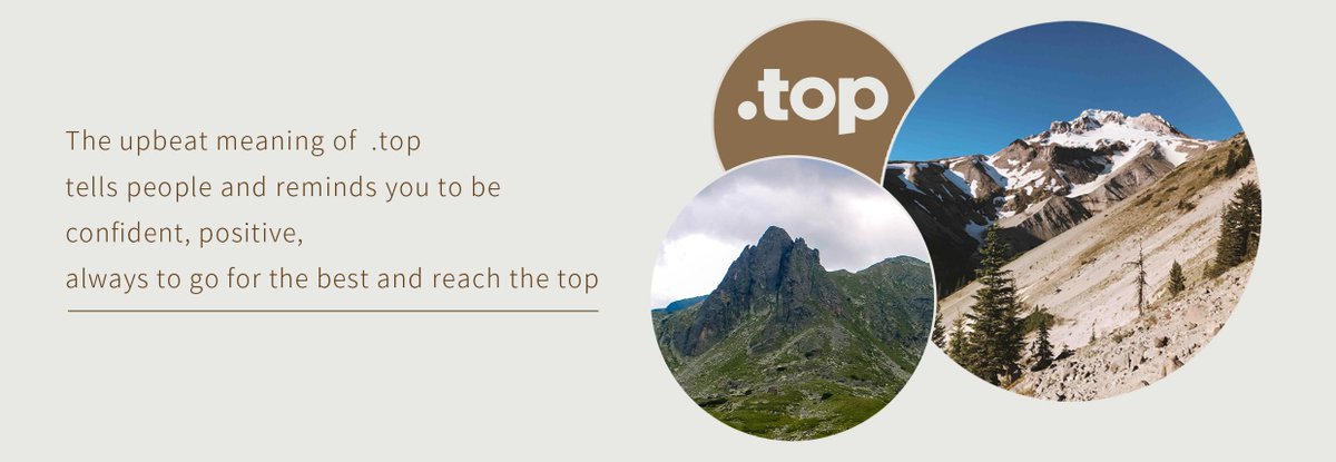 Vivianuny1's tweet image. One of the world&apos;s leading domain name registrars！
Check alpnames.com 
Finding .top domain names you like from @alpnames .
#dottop #domain