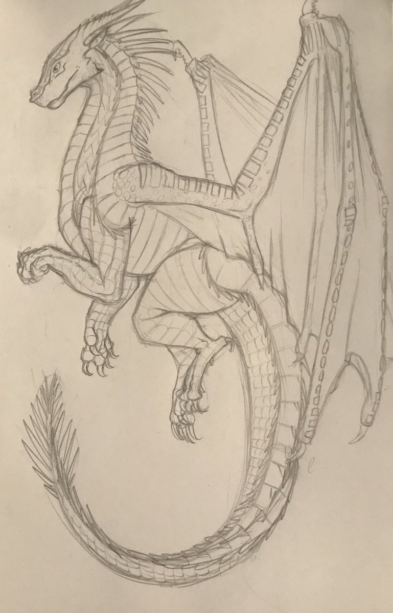 Огненный дракон рисунок карандашом