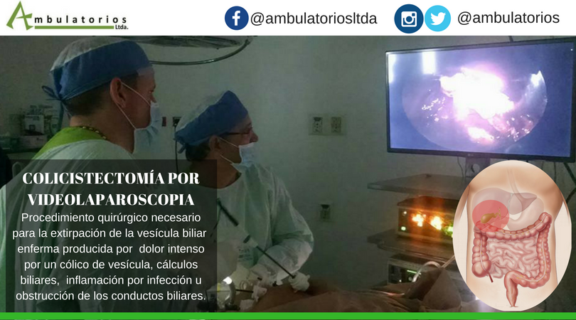 Ambulatorios's tweet photo. Cirugía particular ambulatoria con garantía y calidad al servicio de su salud. ¡Contáctenos! Calle 28 No 6 - 47 Montería- Córdoba. 📞 7810786 - 7892889 📲 3228975572 - 3008160631 - 3215746030 📧ambulatorios@hotmail.com #cirugíageneral #cirugíaparticular  #cirugíasegura https://t.co/KOtpaTuvL4