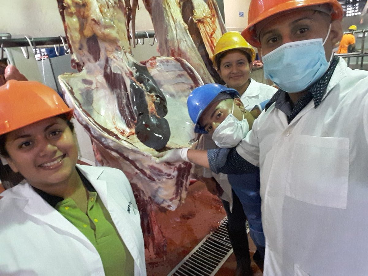 sancandoris1968's tweet photo. #YoPostuloAlItspem Por el desarrollo agropecuario de nuestro País carrera de Tercer Nivel: Tecnología Superior en Producción Agropecuaria. Te esperamos Instituto Tecnológico Superior Paulo Emilio Macías @ITSPEM1 @blanceli @mcgregorio_58 @AugustoBarreraG https://t.co/2YpJgIkqmq