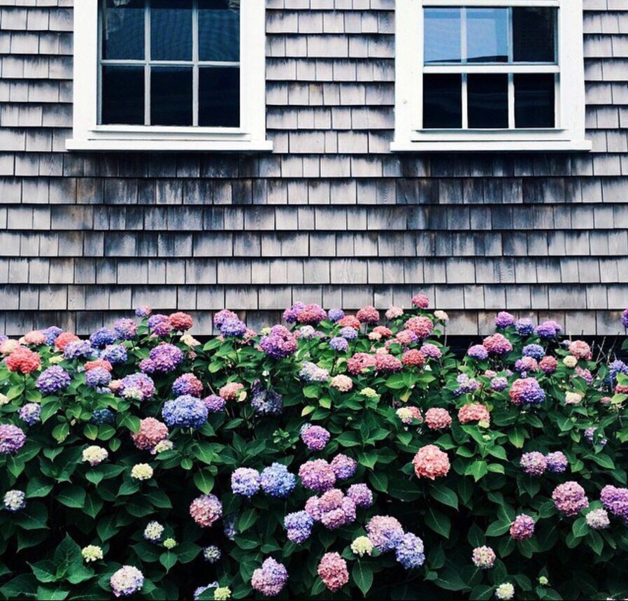 esthetics | archive (@esthtcs27) on Twitter photo 