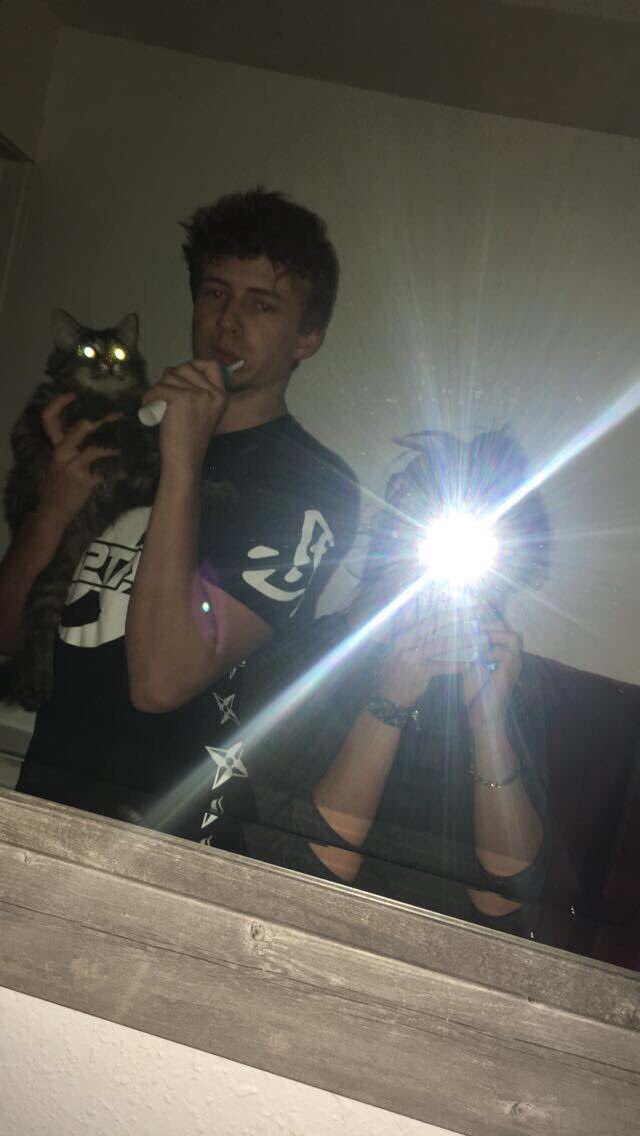 HannahCrowther_'s tweet photo. Happy national cat day to our pride &amp; joy. #fampics 💜🐱 https://t.co/R7hc8VBKqh