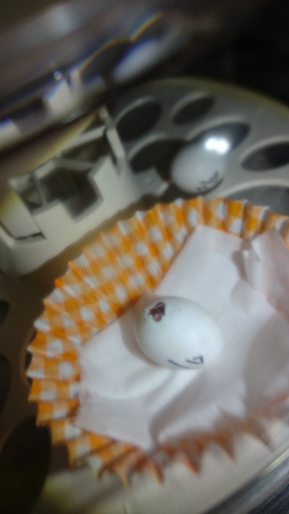 オキナインコ里親 Twitter Search Twitter
