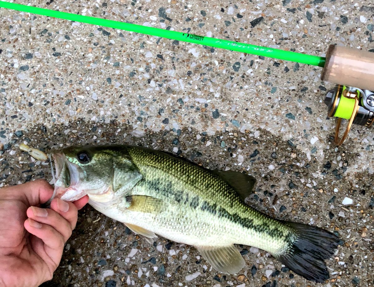 釣り人k 福岡 Fishinglifek Twitter 釣り人k 福岡 Fishinglifek Twitter