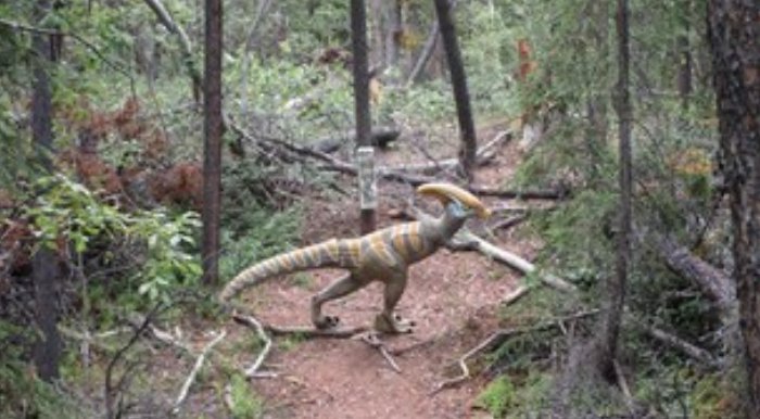 Two days left to register your club relay teams for #naoc2018! Visit naoc2018.ca for information, a list of teams entered, our relay match-up board, and more... maybe you'll see this little guy in the woods! <a href="/OrienteeringCAN/">Orienteering Canada</a> <a href="/CanadianOChamps/">CanadianOChamps</a>