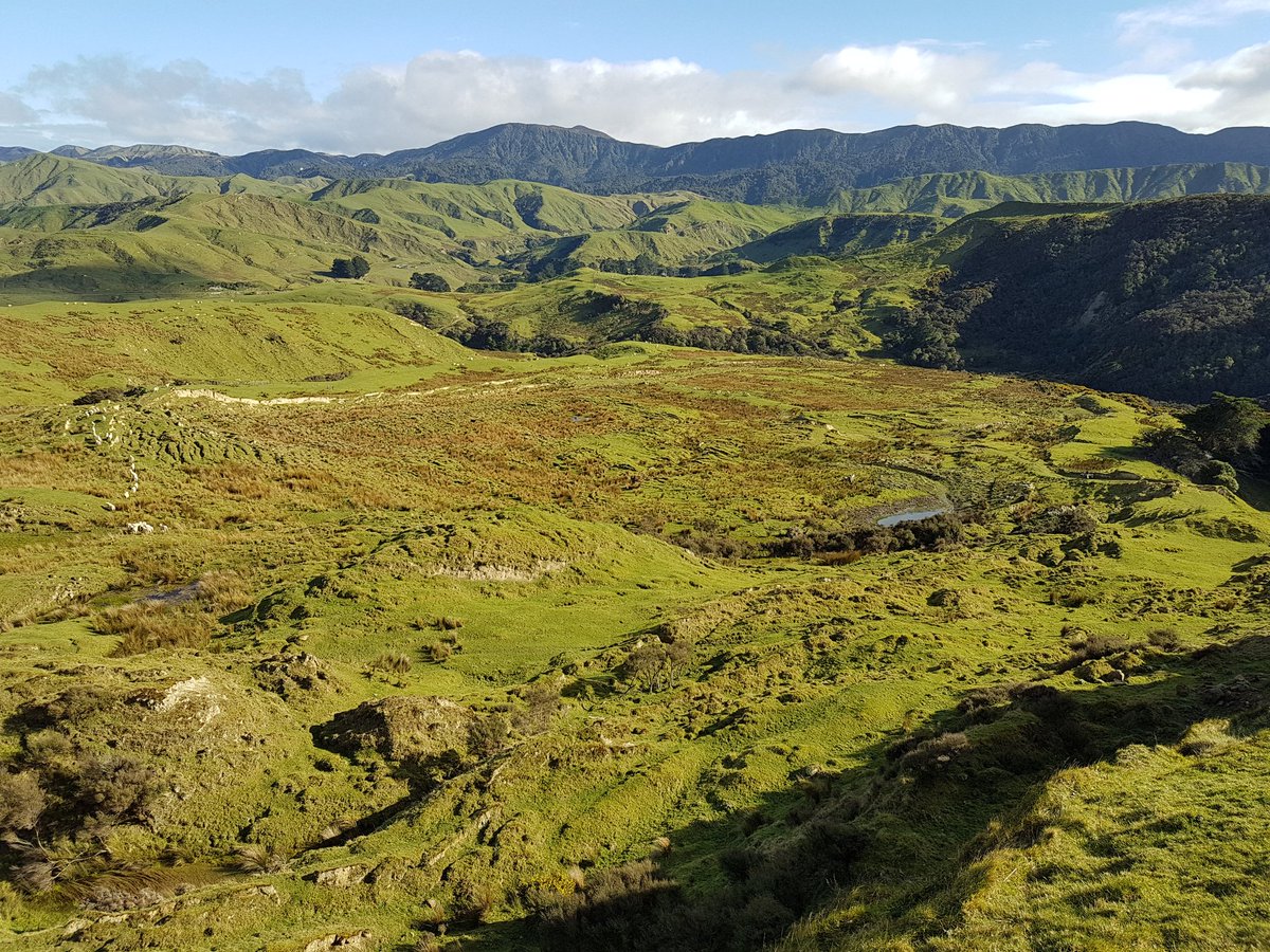 AndrewNeverman's tweet image. Trying to find where the #sediment comes from has led me to some pretty impressive places, like this 900 m long #earthflow (this is the lower half). 

#geomorphology #landslide