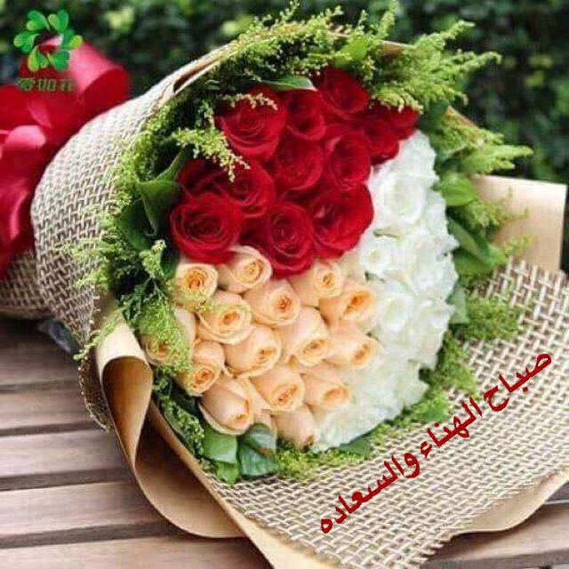 ثامر  الغامدي (@p00pqpbzacpvj2b) on Twitter photo 