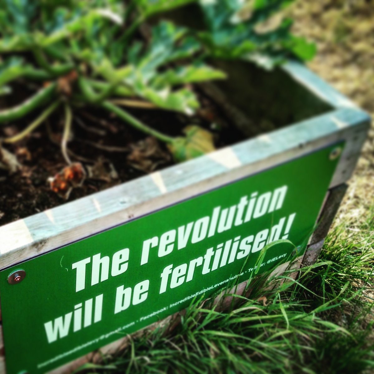 We are desperate for people to help us in Levenshulme: we have 5 'areas' to weed, plant, tidy, litter pick, but at present have only 4 active members. Come and chat to a couple of our members at <a href="/levepride/">Levenshulme Pride</a> on Sat 18th August :-)