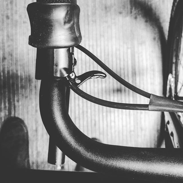 Rodeo Adventure Labs tweet media