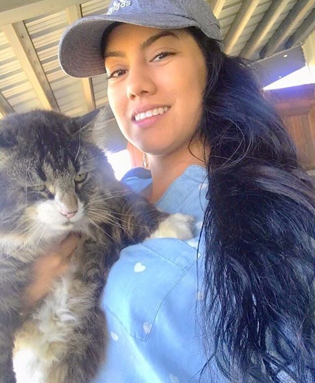 Selfies4Storm's tweet photo. I don’t know about you guys, but I love mommy @catsissies_communicating #selfies4storm #catmeowdels #cats #kittenfeatures https://t.co/wURoYDrX7e https://t.co/ymhxx0aq8j