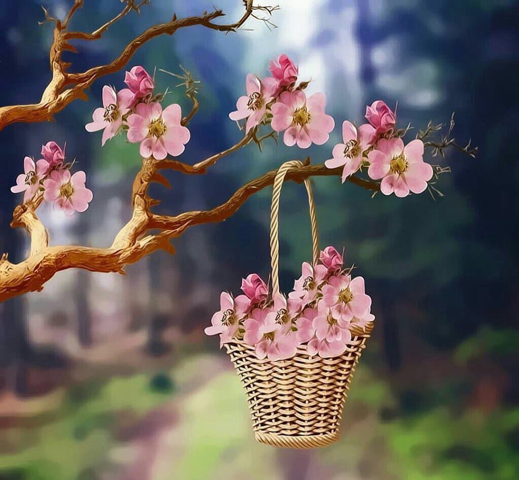 صباحُ الخير .. الخير الذي لا نعلم مداه ولا نتقن حجم تدبيره، فقط نؤمنُ به كيفما كان، وعلى أيّ شاكلةٍ أتى؛ لأن ربّ الخير لا يأتي إلا بخير ..💗