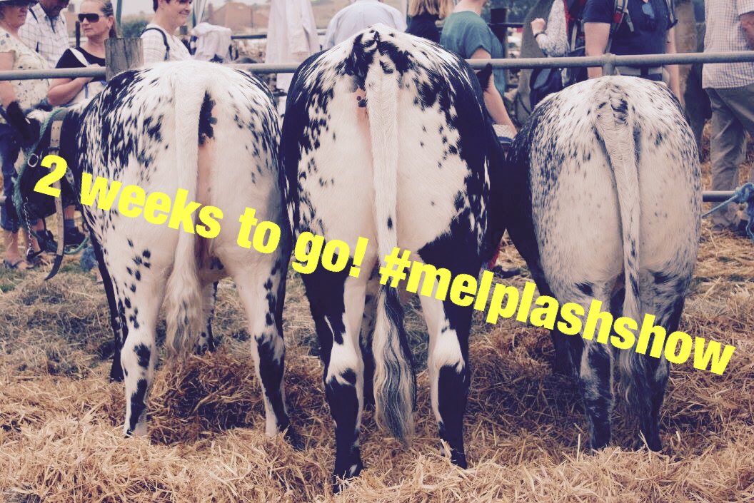 TheMelplashShow's tweet photo. Buy your tickets in advance and save money! Available online or from local outlets, please visit our website for info! https://t.co/Dj8u6QLDRc https://t.co/ohkgZOZPul