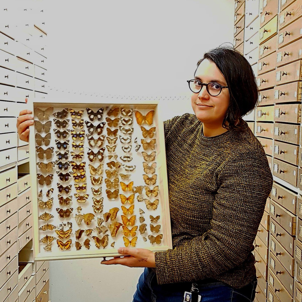 The next one out of a series of #BIG4Results! ⤴️ Check out Elsa Call's story on Next-Generation sequencing techniques 🦋 big4-project.eu/news/11615_blo…