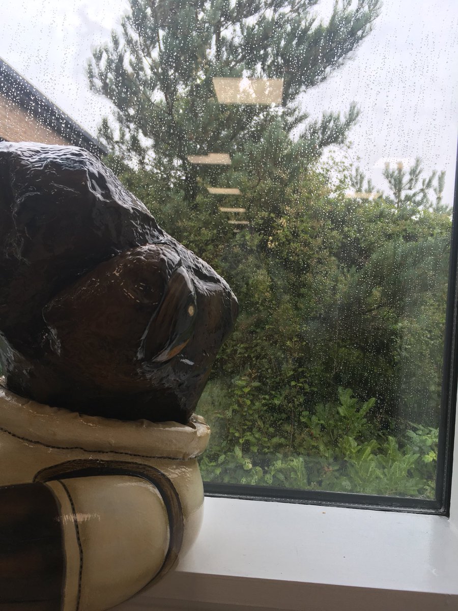 Nice weather for ducks out there today... 😹🌧☔️. #GNDR18