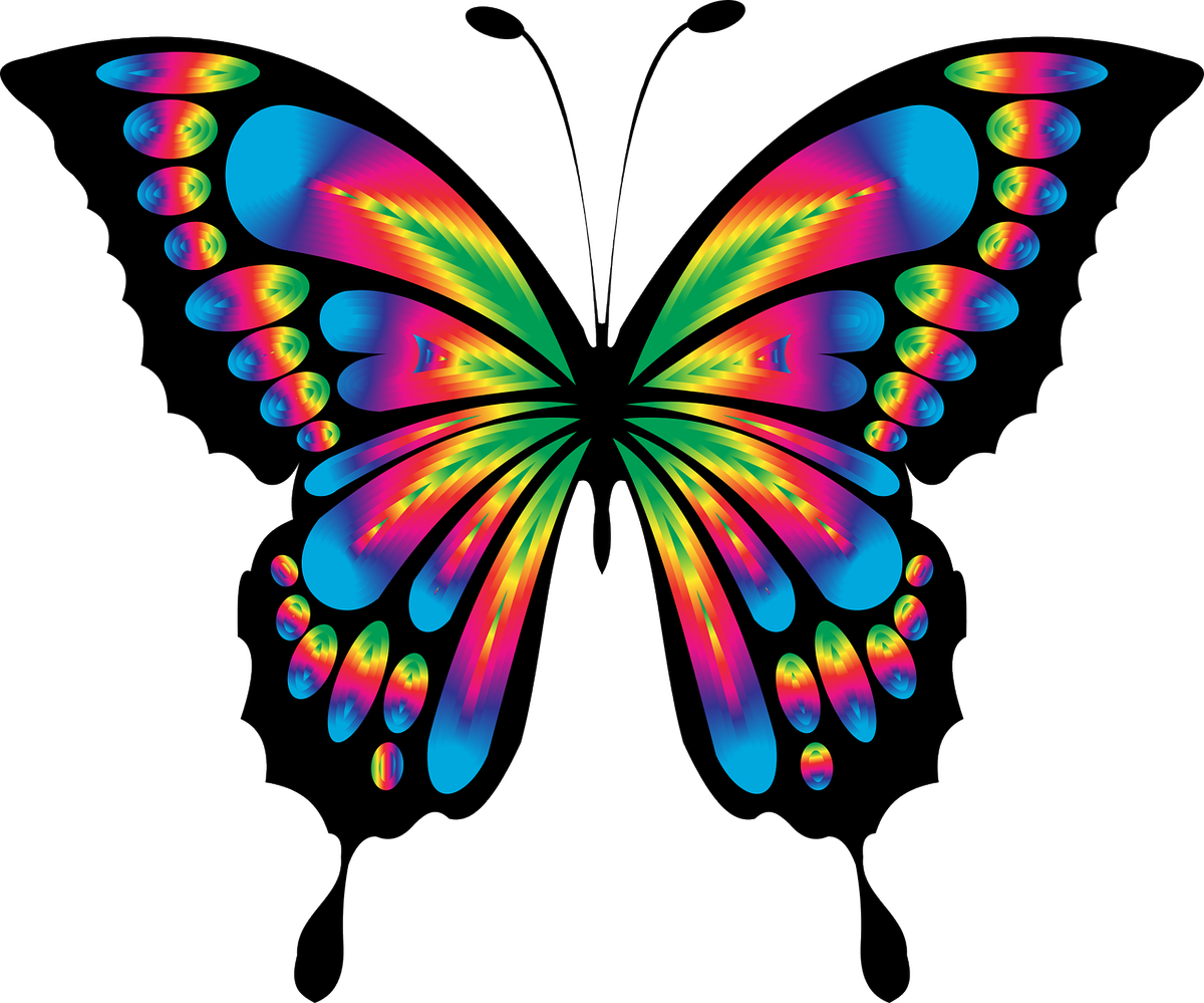 sweetstickyrain's tweet photo. The Rainbow Collector
https://t.co/ZpxLKQubKC
#rainbowcollector
#rainbowcollection
#rainbowed
#rainbower
Cyber rainbows
Fractal Rainbows
Digital Rainbows
Sweet Sticky Rainbows
CyberRainbow
DigitalRainbow https://t.co/azz5xY8OaN
